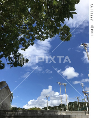 夏、木陰からのぞく青空 夏、木陰からのぞく青空 86511193