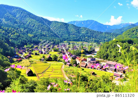 白川郷の風景 白川郷の風景 86511320