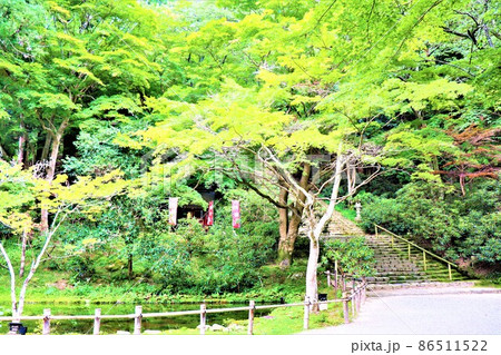 女人高野・室生寺 女人高野・室生寺 86511522