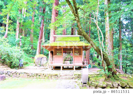 女人高野・室生寺 86511531