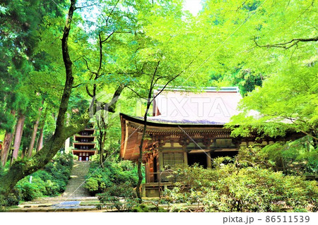 女人高野・室生寺 女人高野・室生寺 86511539