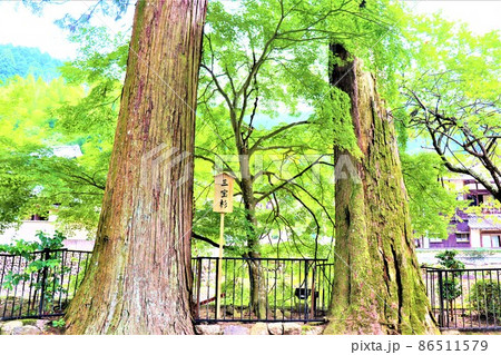 女人高野・室生寺 女人高野・室生寺 86511579