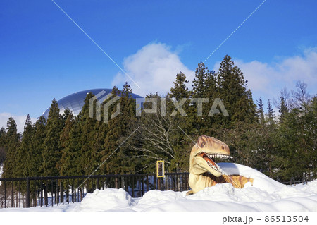 福井県恐竜博物館　冬景色  86513504