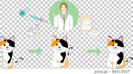 A set of a lean calico cat, a normal calico cat, a fat cat and a female veterinarian. Syringe, medicine and cat food. 86513507