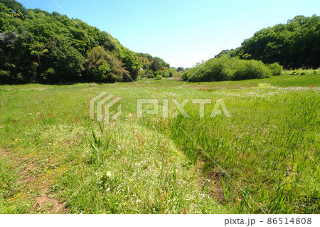 春の谷戸風景 春の谷戸風景 86514808