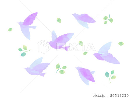 羽ばたく鳥の水彩イラスト 86515239