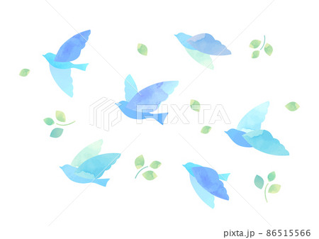 羽ばたく鳥の水彩イラスト 86515566