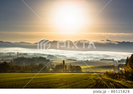 10月の北海道、夜明けの美瑛・日本 86515828