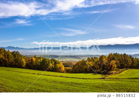 10月の北海道、美瑛の爽快な風景・日本 10月の北海道、美瑛の爽快な風景・日本 86515832