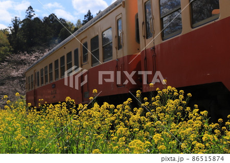 房総半島のローカル線小湊鉄道と菜の花と桜 房総半島のローカル線小湊鉄道と菜の花と桜 86515874