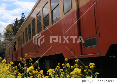 房総半島のローカル線小湊鉄道と菜の花と桜 86515897
