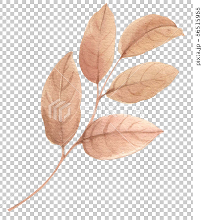Watercolor with tropical elements. Leaves, red, yellow hibiscus for printing on fabrics, dishes, prints, clothing, postcards, mugs. Flower set with watercolor elements with flowers and leaves. 86515968