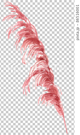 Watercolor with tropical elements. Leaves, red, yellow hibiscus for printing on fabrics, dishes, prints, clothing, postcards, mugs. Flower set with watercolor elements with flowers and leaves. Watercolor with tropical elements. Leaves, red, yellow hibiscus for printing on fabrics, dishes, prints, clothing, postcards, mugs. Flower set with watercolor elements with flowers and leaves. 86516001