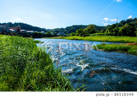 杜の都仙台　広瀬川　秋　大橋の下流 86516349