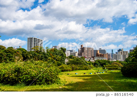 杜の都仙台　広瀬川　秋　澱橋から下流の右岸からビル群を望む 86516540