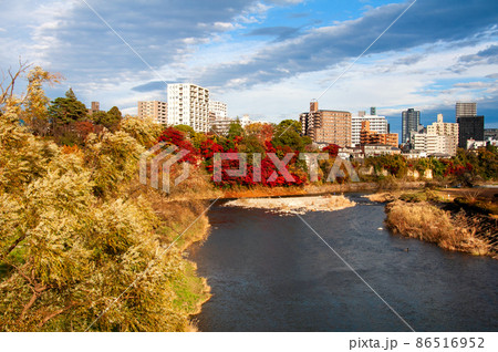 杜の都仙台　晩秋　広瀬川　澱橋から下流の澱緑地、澱瀬とビル群を望む 86516952