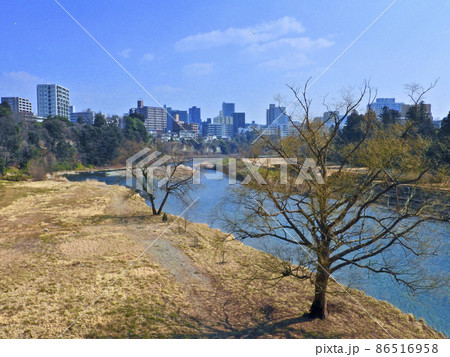 杜の都仙台　広瀬川　冬　澱橋から下流の澱緑地、澱淵とビル群を望む 86516958