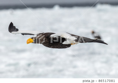 知床　冬 86517081