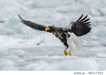 知床 冬 知床 冬 86517092