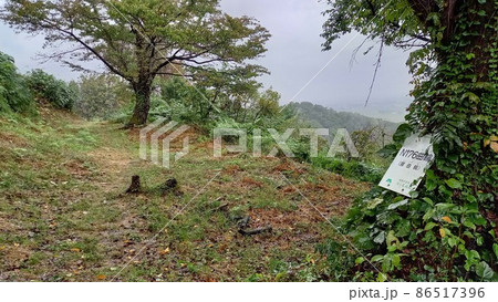 続日本100名城 雨の鮫ヶ尾城 N176曲輪腰曲輪 続日本100名城 雨の鮫ヶ尾城 N176曲輪腰曲輪 86517396