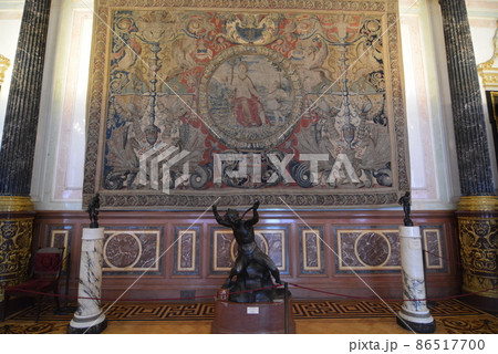 ロシア　サンクトペテルブルク 86517700