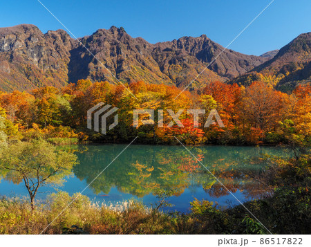 紅葉のしろ池の森 86517822