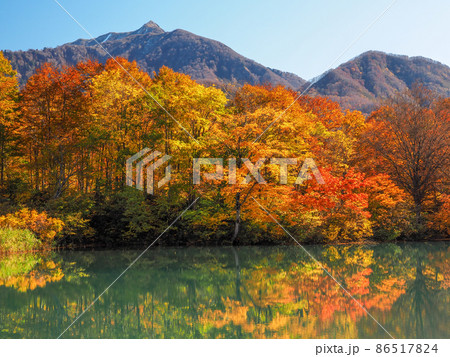 紅葉のしろ池の森 紅葉のしろ池の森 86517824