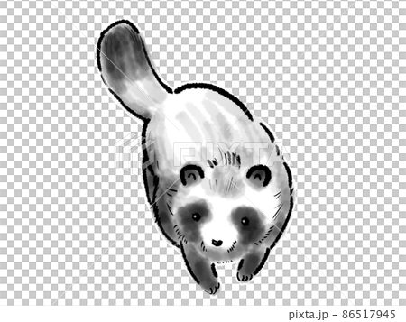 墨絵のタヌキ 86517945