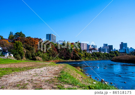 杜の都仙台　広瀬川　秋　澱瀬左岸の澱緑地から胡桃淵とビル群を望む 86518175