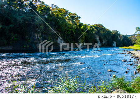 杜の都仙台　広瀬川　秋　左岸の澱緑地から上流を望む 86518177
