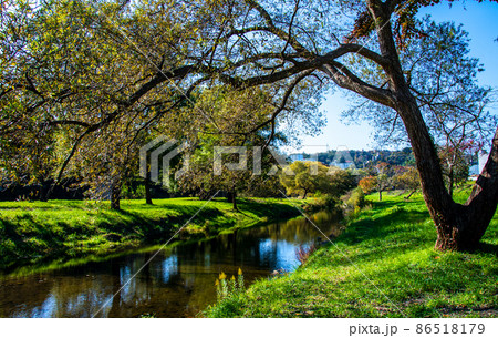 杜の都仙台　広瀬川　秋　中洲の樹木が澱みに映る影 86518179