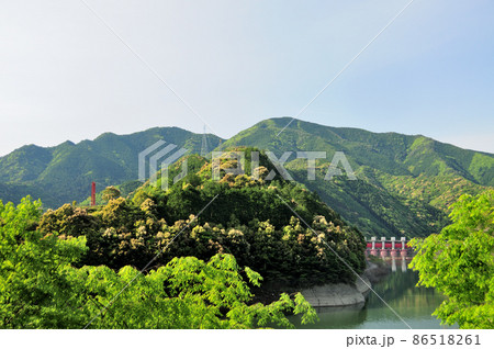 椿山ダム湖　【和歌山県日高川町】 86518261