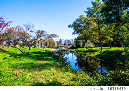 杜の都仙台　広瀬川　秋　澱緑地と中洲の樹木の彼方に市街地のビルを望む 86518439