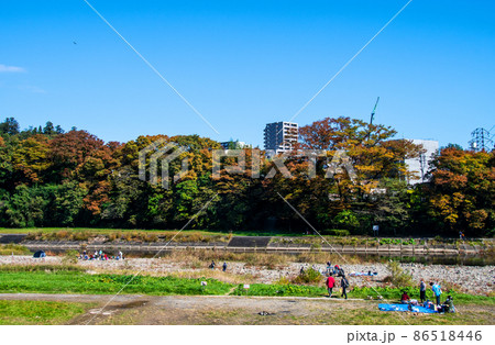 杜の都仙台　広瀬川　秋　牛越橋上流右岸から牛越緑地を望む 86518446