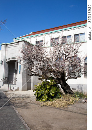 新中津市学校(旧小幡記念図書館) 新中津市学校(旧小幡記念図書館) 86518989