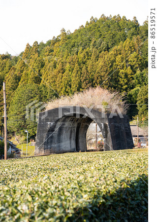 【静岡県】　大井川鉄道　日本一短いトンネル 86519571