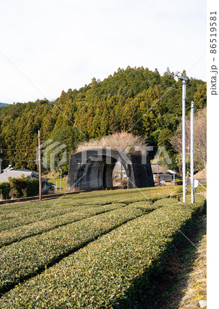 【静岡県】　大井川鉄道　日本一短いトンネル 86519581
