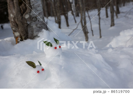 雪の上の雪うさぎ 雪の上の雪うさぎ 86519700