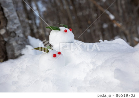 雪の上の雪うさぎ 雪の上の雪うさぎ 86519702