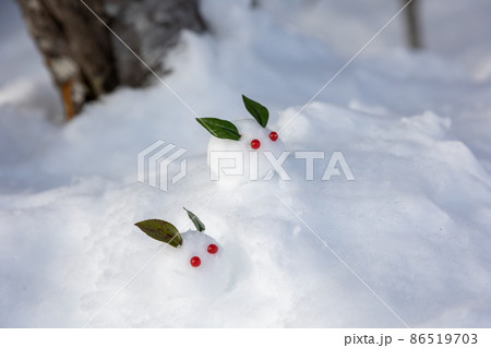 雪の上の雪うさぎ 86519703