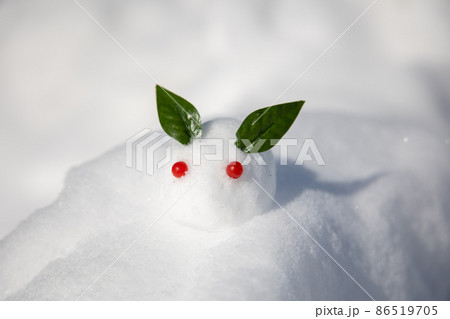 雪の上の雪うさぎ 雪の上の雪うさぎ 86519705