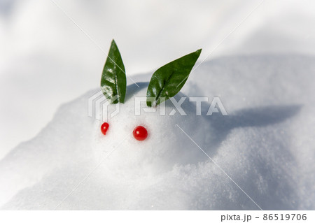 雪の上の雪うさぎ 86519706
