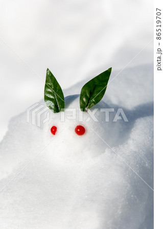 雪の上の雪うさぎ 86519707