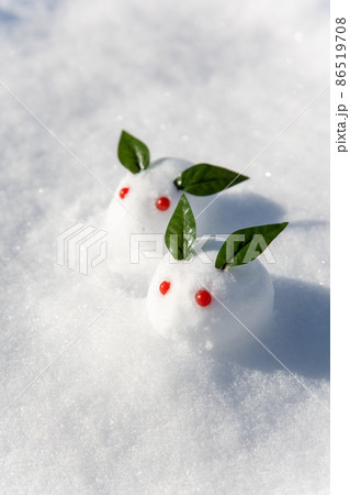 雪の上の雪うさぎ 雪の上の雪うさぎ 86519708