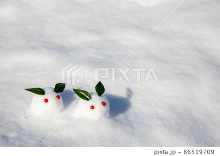 雪の上の雪うさぎ 86519709