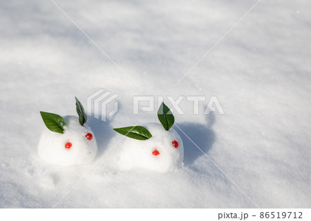 雪の上の雪うさぎ 雪の上の雪うさぎ 86519712