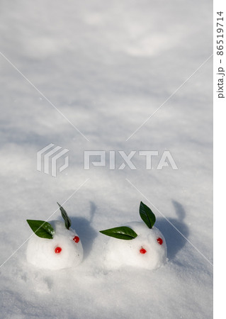 雪の上の雪うさぎ 86519714