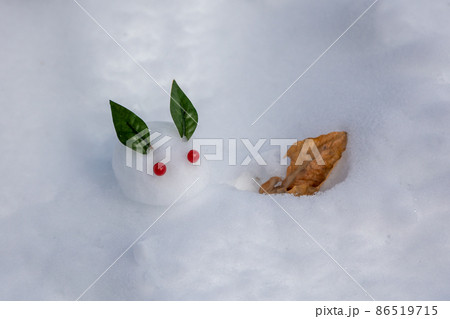 雪の上の雪うさぎ 86519715