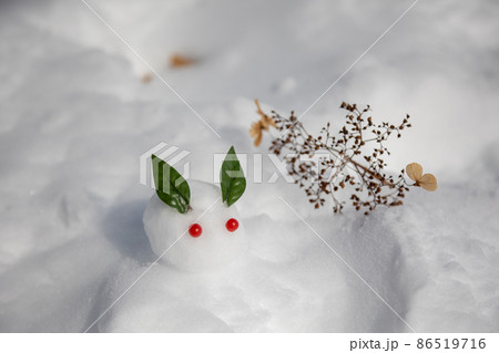 雪の上の雪うさぎ 86519716