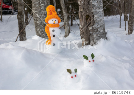 森の中で雪うさぎを見つけた雪だるま 森の中で雪うさぎを見つけた雪だるま 86519748